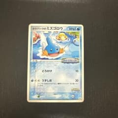 ポケパークのミズゴロウ PROMO PCG-Pプロモカード 048/PCG-Pのサムネイル