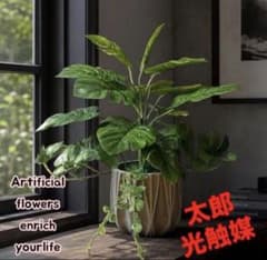 光触媒 人工観葉植物 ウォールグリーン フェイクグリーン モンステラと