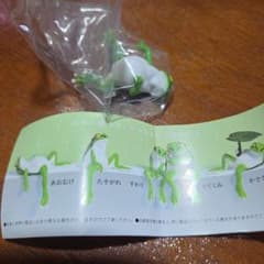 ふちやすみ アマガエル あおむけのサムネイル