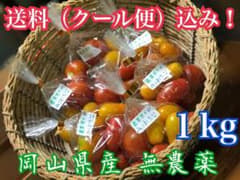 即購入可 岡山県産 無農薬野菜 4種類ミニトマト‼️のサムネイル