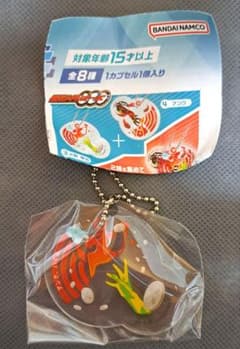 오버레이 아크릴 매력 가면 라이더 오즈