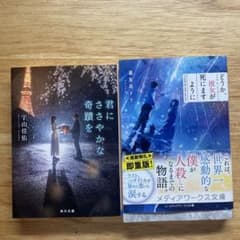 君にささやかな奇跡を どうか、彼女が死にますように 2冊セットのサムネイル