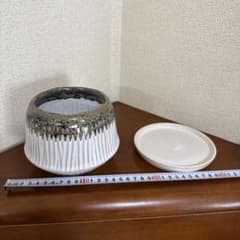 陶器 鉢 鉢皿付き 3号サイズ　観葉植物のサムネイル
