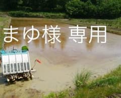 まゆ様 専用のサムネイル