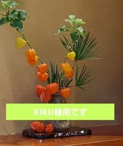 プルームのサムネイル