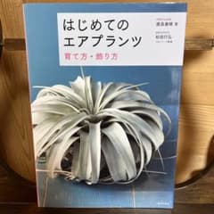 はじめてのエアプランツ 育て方・飾り方のサムネイル