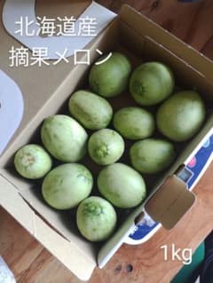 摘果メロン 1kg　めろんこ　すぐりメロンのサムネイル