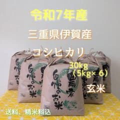 令和7年産三重県伊賀産コシヒカリ30㎏ 5kg×6 玄米 - メルカリ