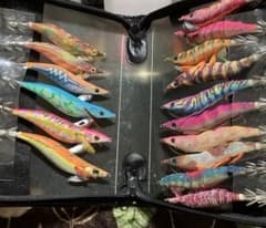 エギ24本セット 即決価格 - メルカリ