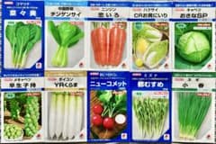野菜の種【タキイ】今〜夏秋★美味しいお得な10種類セットのサムネイル