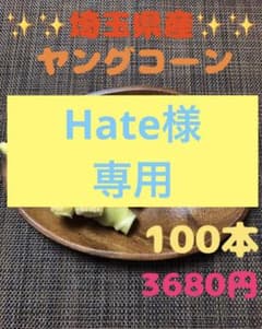 専用になります。１００本➕おまけ最低5本！ヤングコーンのサムネイル