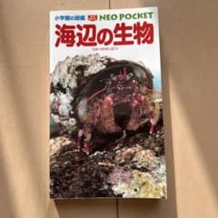 海辺の生物 NEO POCKETのサムネイル