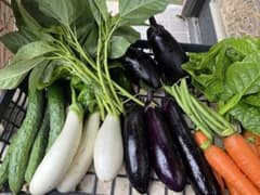 あやちん様専用です。新鮮野菜詰め合わせのサムネイル