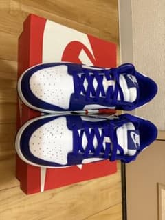 新品未使用NIKE DUNK LOW RETRO ダンク　ロー　 28.0のサムネイル