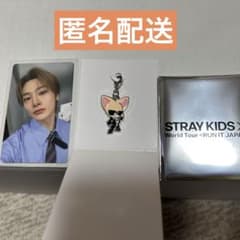 スキズ Stray Kids キーホルダーチャーム フォクシニー　特典トレカ付きのサムネイル