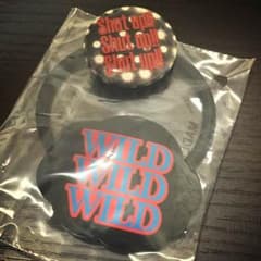WILD WILD WARRIORSのサムネイル