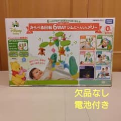 【電池・箱あり、欠品なし】プーメリー 6WAYジムメリーのサムネイル