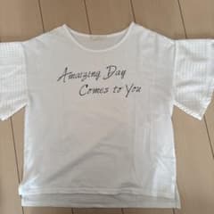 Amazing Day Comes to You Tシャツのサムネイル