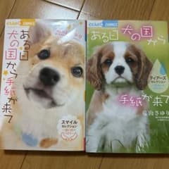 ある日 犬の国から手紙が来て 2冊セット ちゃおフラワーコミックスのサムネイル