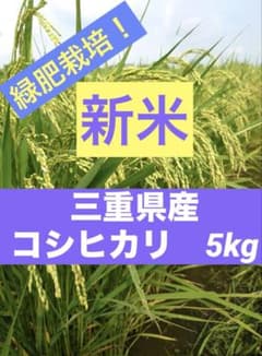 【農家直送】新米 お米 令和8年 緑肥栽培！三重県産 コシヒカリ 白米5kgのサムネイル