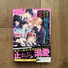 孤高の極悪総長さまは、彼女を愛しすぎている／柊乃なや スターツ出版のサムネイル
