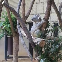 あいす様専用のサムネイル