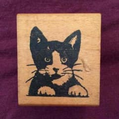 海外 ラバースタンプ ネコ 猫のサムネイル