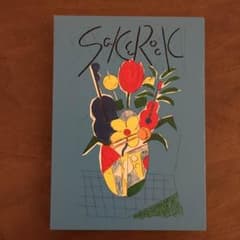 SAKEROCK ぐうぜんのきろくファイナルDVDのサムネイル