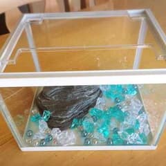 水槽のサムネイル