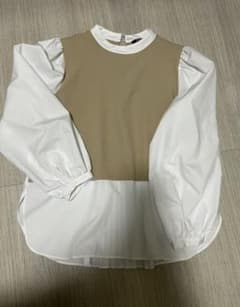 なおすけ様専用 ZARAブラウス ドッキングのサムネイル