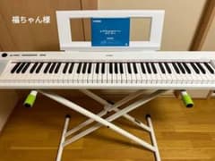 piaggero NP-12WH(ホワイト)のサムネイル