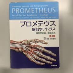 プロメテウス解剖学アトラス 解剖学総論/運動器系 第3版 - メルカリ