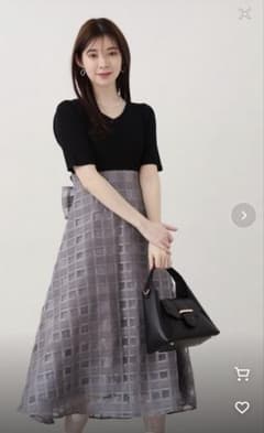 プロポーションボディドレッシング　シアーチェックドッキングワンピース　Sのサムネイル