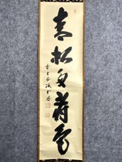 藤井誡堂『青松多寿色』共箱 茶掛 茶道具 臨済宗大徳寺515世住職 三玄
