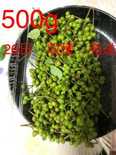 山椒の実 500gのサムネイル