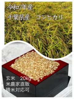 令和7年産 千葉県産 こしひかり 玄米20kg 米農家直販【数量限定】NO.2 令和7年産 千葉県産 こしひかり 玄米20kg 米農家直販【数量限定】NO.4