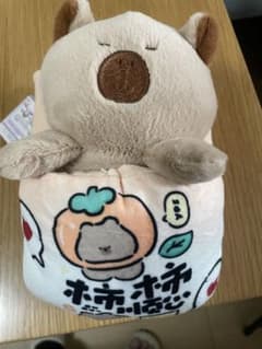 ぬいぐるみ 寝てる〜　けど‥のサムネイル