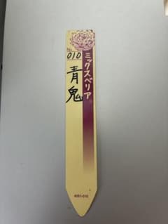 ミックスベリア 青鬼 札のみ (苗はつきません)のサムネイル