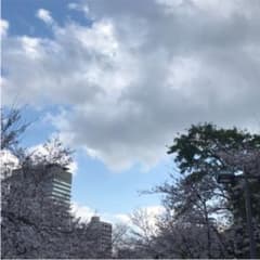 ともゆう様専用のサムネイル
