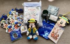 ディズニーバケーションパッケージ【新品未開封】　おまけ付きのサムネイル