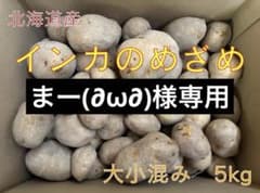 まー(∂ω∂)様専用】北海道産インカのめざめ 大小混み5kg - メルカリ