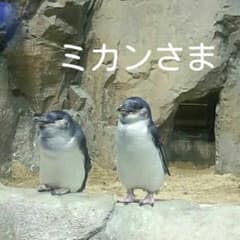 ミカンさまのサムネイル