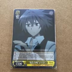 바이스 Fate/Apocrypha C “용고령주” 지크