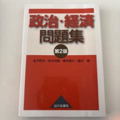 美品　政治・経済問題集のサムネイル