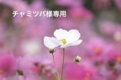 チャミツバ様専用のサムネイル