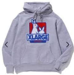 【正規品】FR2 XLARGE コラボ 入手困難 パーカー デカロゴ 美品のサムネイル