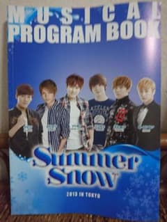 Summer snow2013☆パンフレットのサムネイル