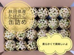 秋田県産　たけのこ　缶詰　送料込み　ナシロダケ　根曲り　ネマガリダケ 秋田県産 たけのこ 缶詰 送料込み 根曲がり竹 ネマガリダケ - メルカリ