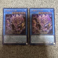 天叢雲之巳剣 ウルトラ 2枚セット ミツルギ 巳剣 儀式 デッキパーツ