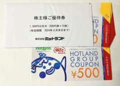 ホットランド　銀だこ　株主優待券　15枚　7500円分のサムネイル